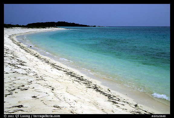 Beach on Bush Key. Dry Tortugas  National Park, Florida, USA.