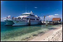 Yankee Freedom Ferry. Dry Tortugas National Park, Florida, USA. (color)