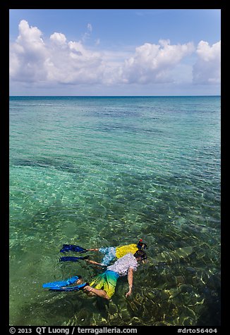 Man and boy snorkeling on reef. Dry Tortugas National Park, Florida, USA.