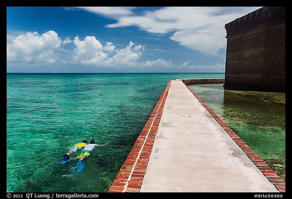 Snorkeling next to Fort Jefferson seawall. Dry Tortugas National Park, Florida, USA.
