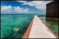 Snorkeling next to Fort Jefferson seawall. Dry Tortugas National Park, Florida, USA. (color)