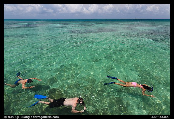 Snorkelers and reef, Garden Key. Dry Tortugas National Park, Florida, USA.