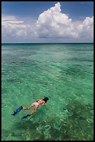Woman snorkeling. Dry Tortugas National Park ( color)