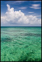 Reef and tropical clouds. Dry Tortugas National Park ( color)