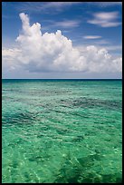 Reef and tropical clouds. Dry Tortugas National Park, Florida, USA. (color)