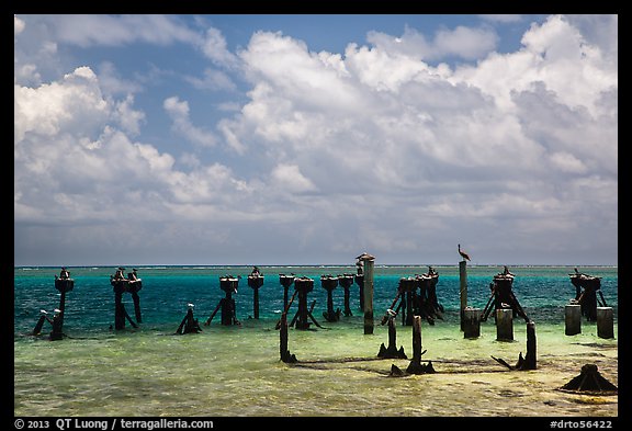 South coaling dock ruins and seabirds, Garden Key. Dry Tortugas National Park, Florida, USA.