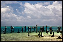 South coaling dock ruins and seabirds, Garden Key. Dry Tortugas National Park, Florida, USA. (color)