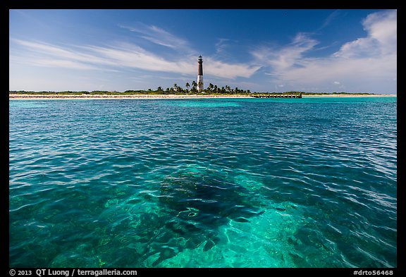 Coral head and Loggerhead Key light. Dry Tortugas National Park, Florida, USA.