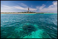 Coral head and Loggerhead Key light. Dry Tortugas National Park, Florida, USA. (color)