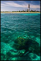 Coral head and Loggerhead Key lighthouse. Dry Tortugas National Park, Florida, USA.