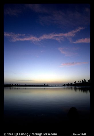 Sky and Pine Glades Lake, dusk. Everglades National Park (color)