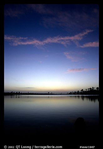 Sky and Pine Glades Lake, dusk. Everglades National Park, Florida, USA.