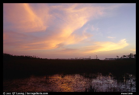 Dawn on marsh and sawgrass prairie. Everglades National Park (color)