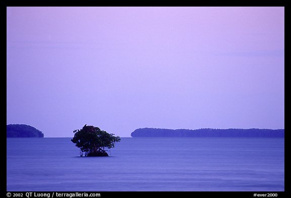 Mangroves and low islands in Florida Bay, dusk. Everglades National Park, Florida, USA.