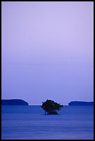 Mangroves trees and low islands in Florida Bay, dusk. Everglades National Park, Florida, USA.