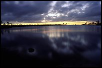 Stormy sunset at Pine Glades Lake. Everglades National Park ( color)