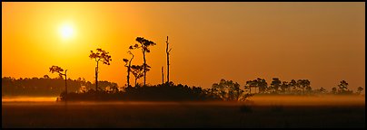 Sunrise landscape with mist on the ground. Everglades National Park, Florida, USA.