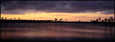 Sunset over lake with dark clouds. Everglades  National Park (Panoramic color)