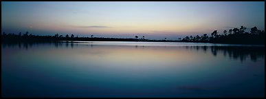 Lake with trees on horizon, dusk. Everglades National Park (Panoramic color)