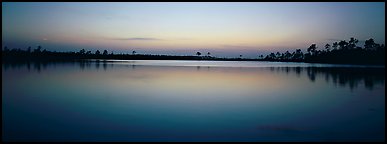 Lake with trees on horizon, dusk. Everglades  National Park (Panoramic color)