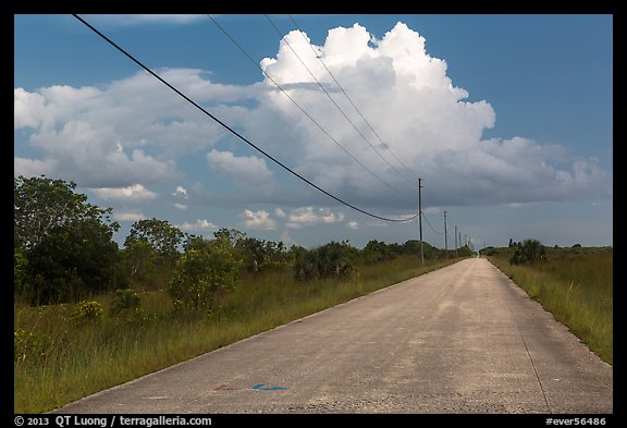 Road and cloud, Chekika. Everglades National Park, Florida, USA.