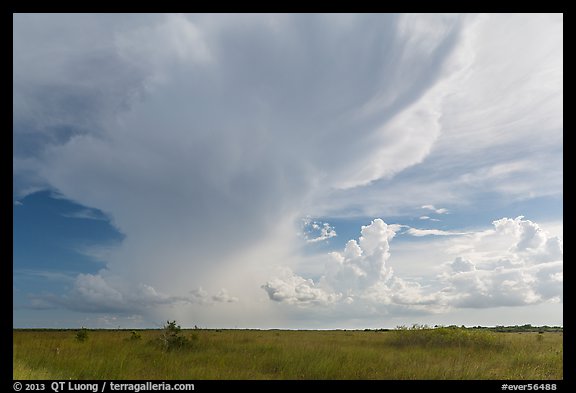 Storm clouds, Chekika. Everglades National Park (color)