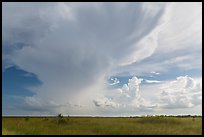 Storm clouds, Chekika. Everglades National Park, Florida, USA. (color)