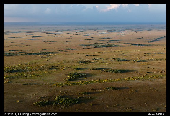 Aerial view of Shark River Slough. Everglades National Park, Florida, USA.