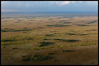 Aerial view of Shark River Slough. Everglades National Park ( color)