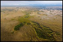 Aerial view of marsh with cypress. Everglades National Park, Florida, USA. (color)