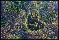 Aerial view of a cypress hole. Everglades National Park, Florida, USA. (color)
