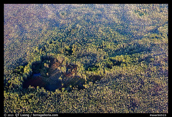 Aerial view of hole in dense cypress forest. Everglades National Park (color)