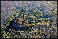 Aerial view of hole in dense cypress forest. Everglades National Park, Florida, USA. (color)
