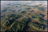 Aerial view of hammocks and fog. Everglades National Park, Florida, USA. (color)