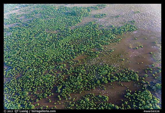 Aerial view of mangroves. Everglades National Park, Florida, USA.