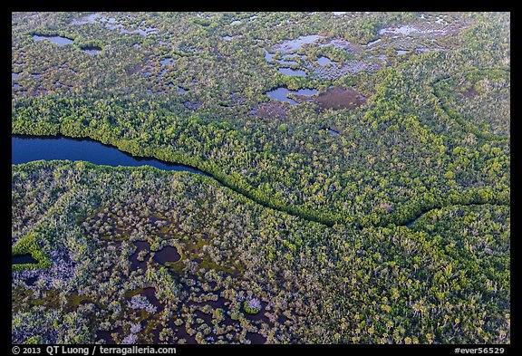 Aerial view of river and mangroves. Everglades National Park (color)