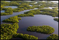 Aerial view of maze of waterways and mangrove islands. Everglades National Park, Florida, USA. (color)