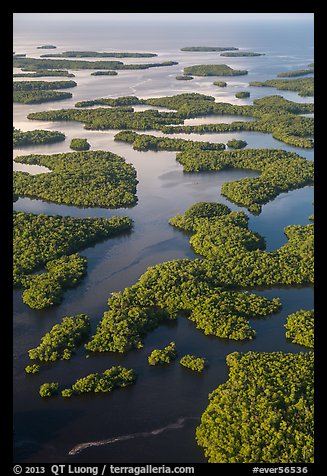 Aerial view of Ten Thousand Islands. Everglades National Park (color)