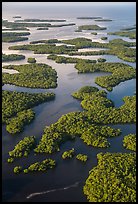 Aerial view of Ten Thousand Islands. Everglades National Park, Florida, USA. (color)