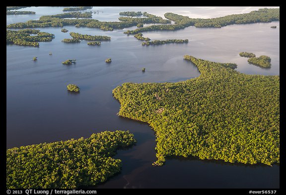 Aerial view of coastal mangrove islands. Everglades National Park (color)