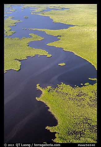 Aerial view of dense mangrove coastline and inlets. Everglades National Park (color)