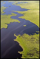 Aerial view of dense mangrove coastline and inlets. Everglades National Park, Florida, USA. (color)