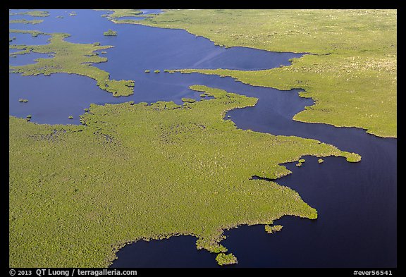 Aerial view of tropical mangrove coast. Everglades National Park (color)