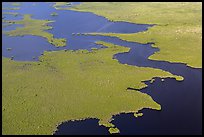 Aerial view of tropical mangrove coast. Everglades National Park ( color)