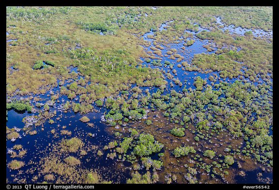 Aerial view of saltwater marsh. Everglades National Park (color)