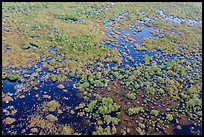 Aerial view of saltwater marsh. Everglades National Park, Florida, USA. (color)
