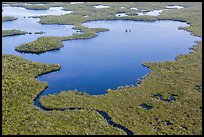 Aerial view of mangrove-fringed lake. Everglades National Park, Florida, USA. (color)