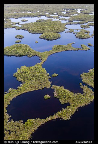 Aerial view of mosaic of lakes and and vegetation. Everglades National Park, Florida, USA.