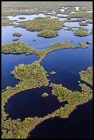Aerial view of mosaic of lakes and and vegetation. Everglades National Park, Florida, USA. (color)