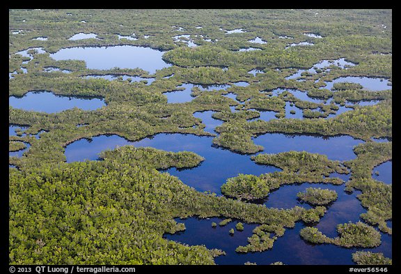 Aerial view of lakes, mangroves and cypress. Everglades National Park (color)